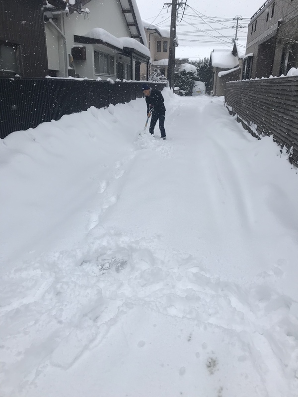 写真 2018-02-07 13 50 01.jpg