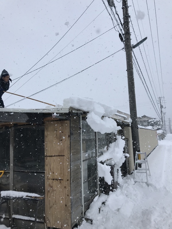 写真 2018-02-07 15 49 26.jpg